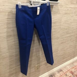 Royal blue slacks